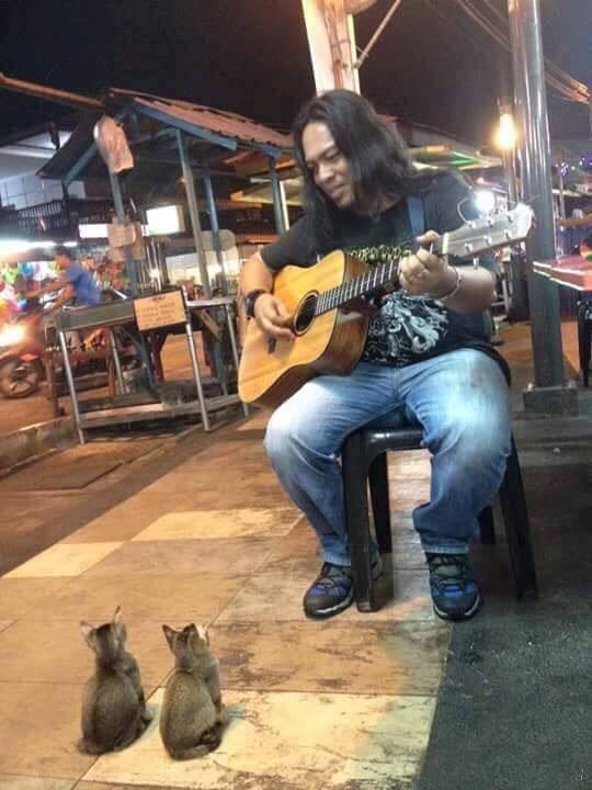 귀여운 관객들.jpg | 인스티즈