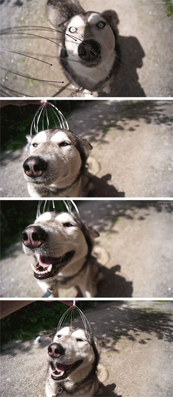 개시원.gif | 인스티즈