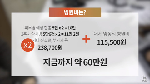 반려동물이 병원 갈때 들어가는 비용(ft. 주인의 경제력이 중요한 이유).jpg | 인스티즈