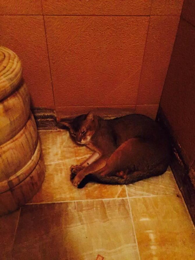 사우나 중이냥... | 인스티즈