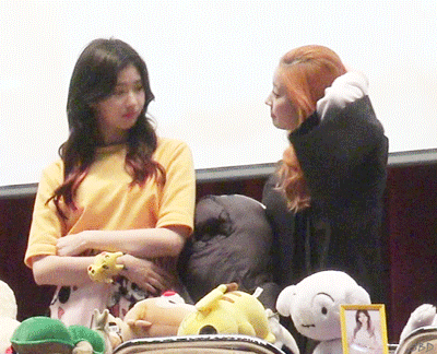 두부가 너무 좋은 사나.gif | 인스티즈