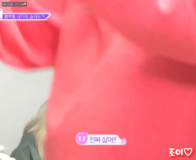 A형이라는게 믿기지 않는 모구리.gif | 인스티즈