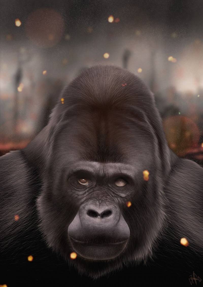 사실적인 그림들 . JPG | 인스티즈