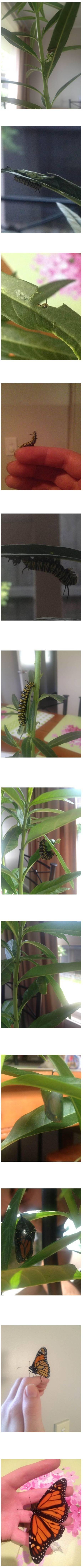 흔하지 않은 룸메이트.... | 인스티즈