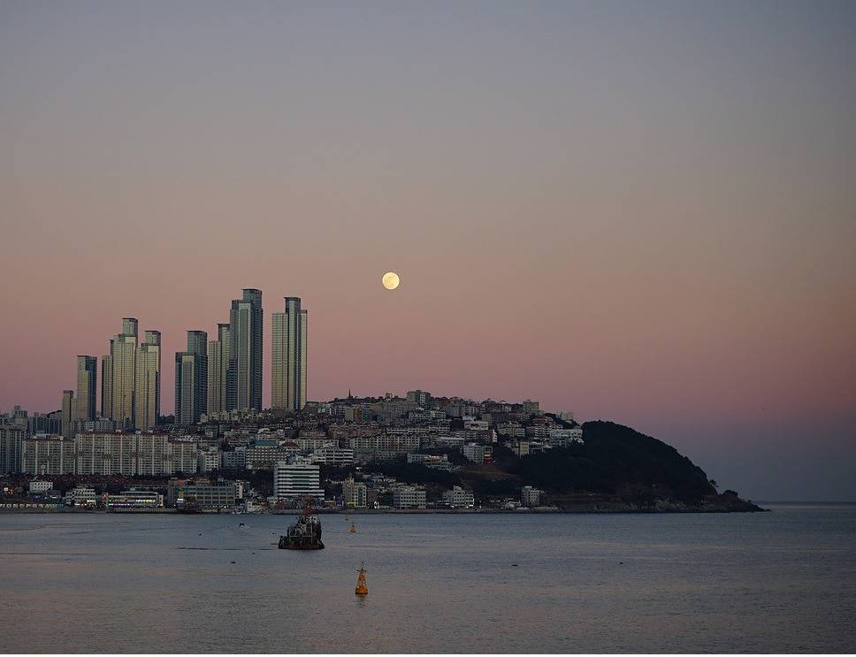 부산 달맞이 고개의 변화.jpg | 인스티즈