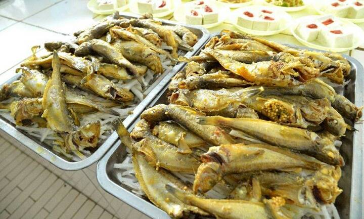 식욕감퇴음식(혐오주의) | 인스티즈