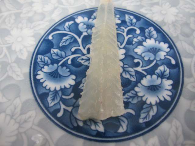 우리나라에서 가장 비싼 회...이시가리 | 인스티즈