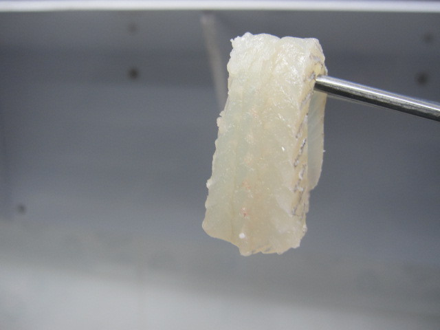 우리나라에서 가장 비싼 회...이시가리 | 인스티즈