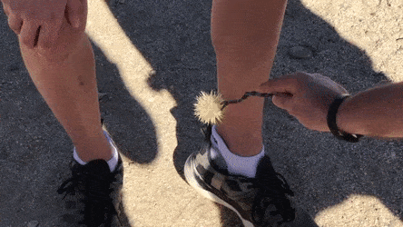 다리에 박힌 선인장 뽑아주는 친구.gif | 인스티즈