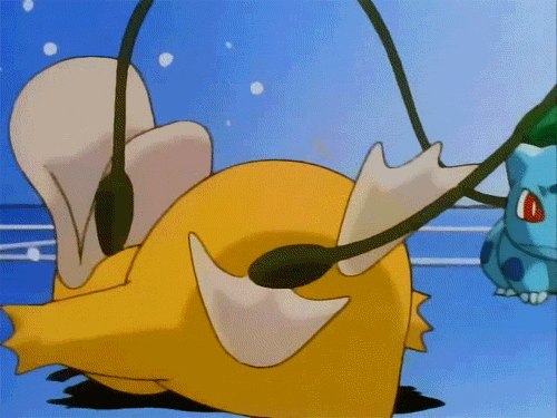 알고보면 불쌍한 오리너구리 | 인스티즈