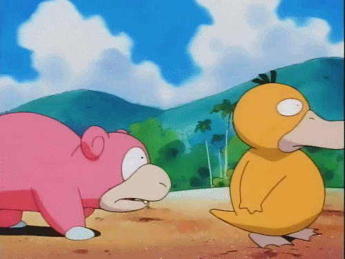 알고보면 불쌍한 오리너구리 | 인스티즈