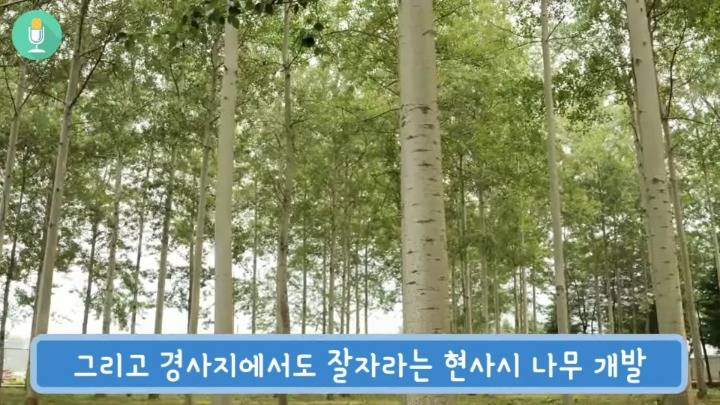 전세계 유일하게 한국만 성공한 일.jpg | 인스티즈