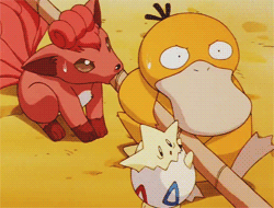 알고보면 불쌍한 오리너구리 | 인스티즈