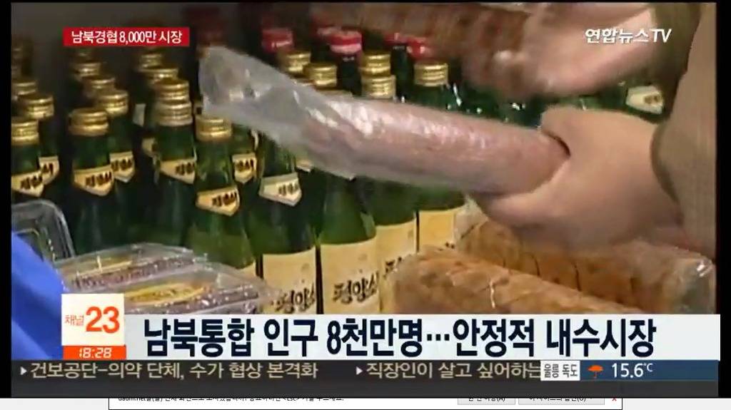 남북통합 8천만 내수시장..동북아 거대시장 부상 | 인스티즈