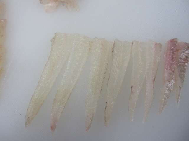 우리나라에서 가장 비싼 회...이시가리 | 인스티즈