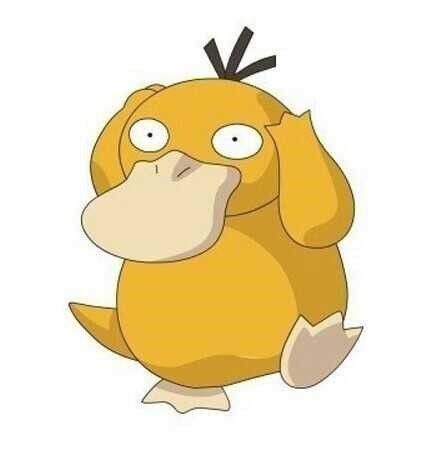 다 함께 풀어보아요 틀리면 고라파덕 프샤하기 | 인스티즈