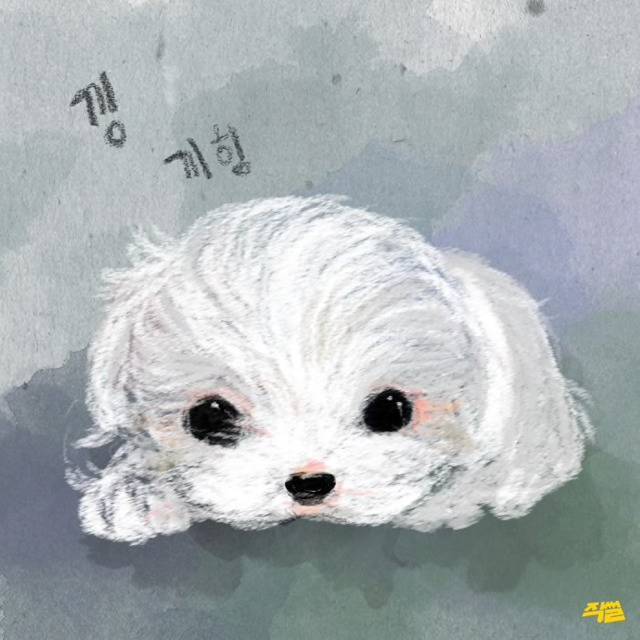 애견샵 강아지들의 엄마는 어디 있을까? | 인스티즈