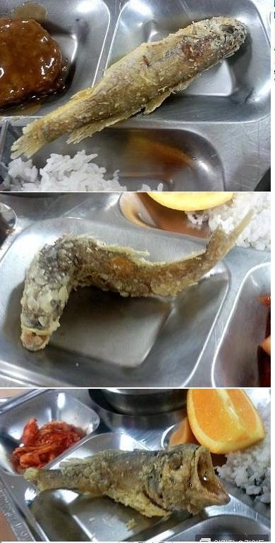 식욕감퇴음식(혐오주의) | 인스티즈