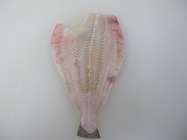 우리나라에서 가장 비싼 회...이시가리 | 인스티즈