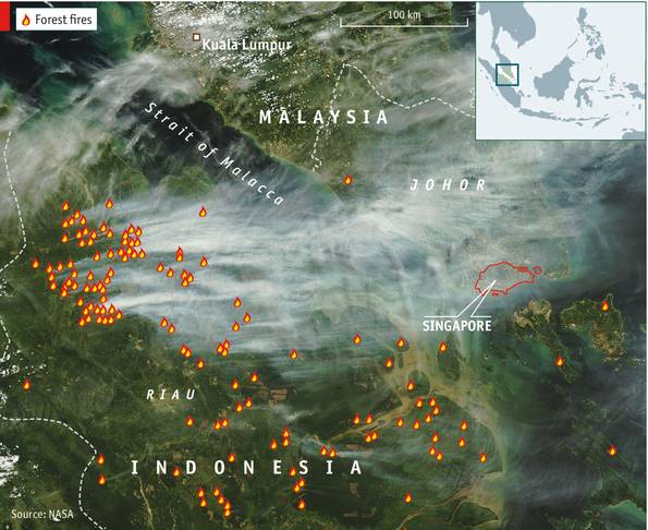 싱가포르가 인도네시아에게 당하는 공기 테러 | 인스티즈