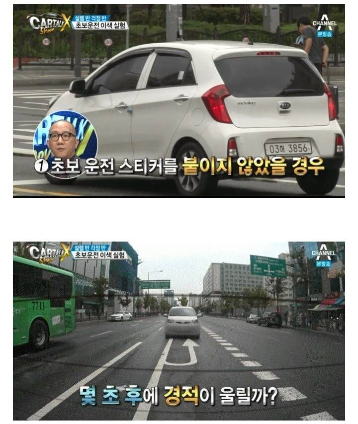 초보운전자 머스트 헤브 아이템.jpg | 인스티즈