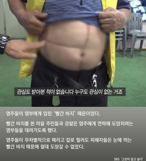 신안 섬마을 주민들이 "염전노예"에 빨간바지 입힌 이유 | 인스티즈