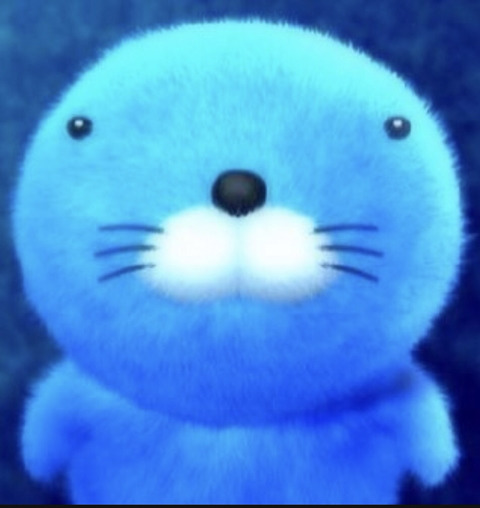 북한 고려항공 승무원들의 미친 미모 ㄷㄷ | 인스티즈