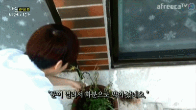 아프리카 방송하고.. 2년이 흘렀다.. jpg | 인스티즈