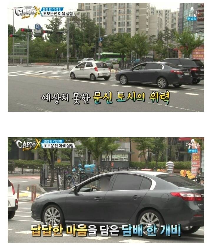 초보운전자 머스트 헤브 아이템.jpg | 인스티즈