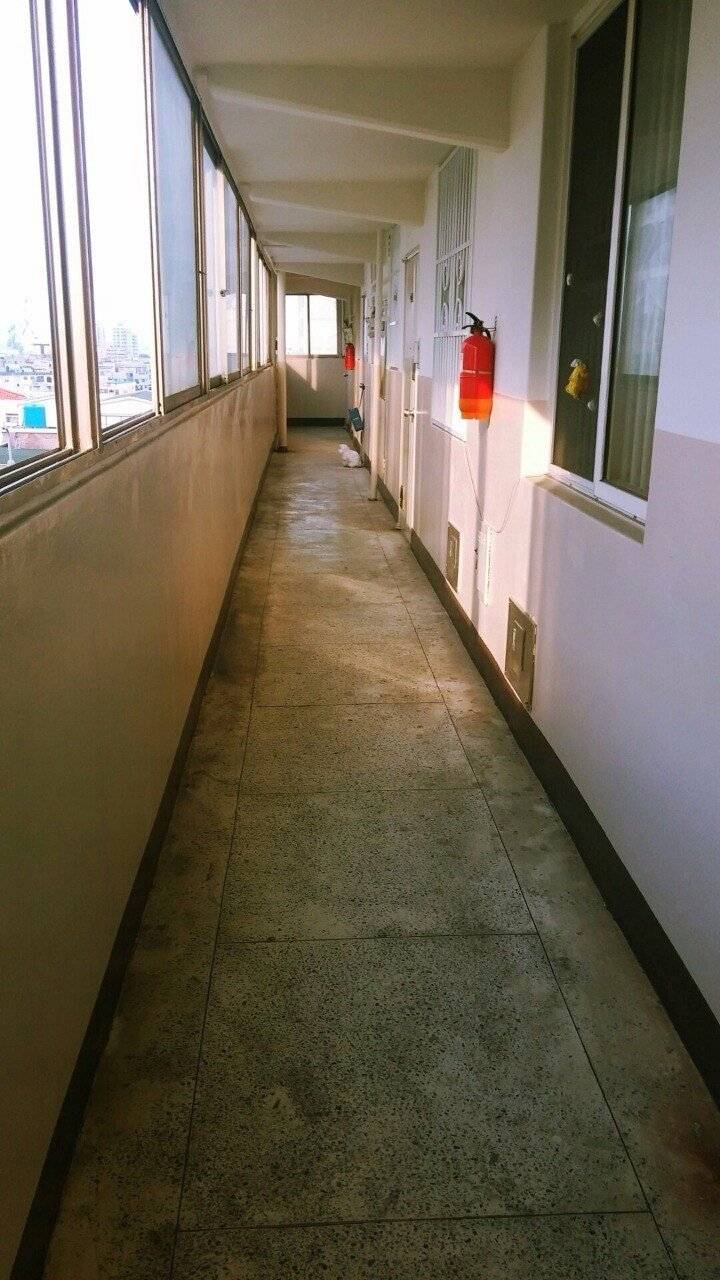 복도에다 누가 강아지버림 | 인스티즈