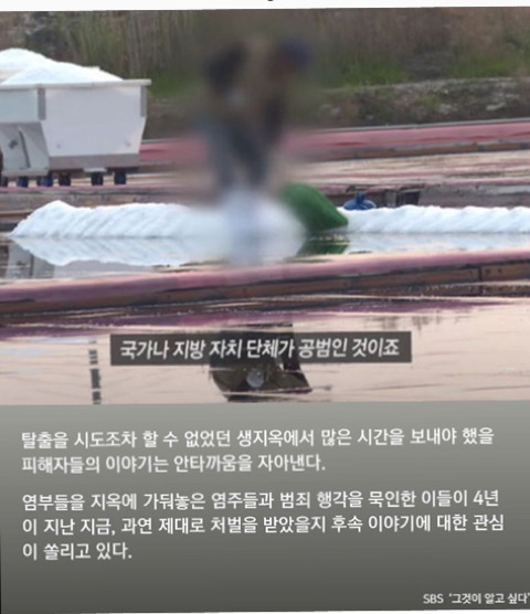 신안 섬마을 주민들이 "염전노예"에 빨간바지 입힌 이유 | 인스티즈