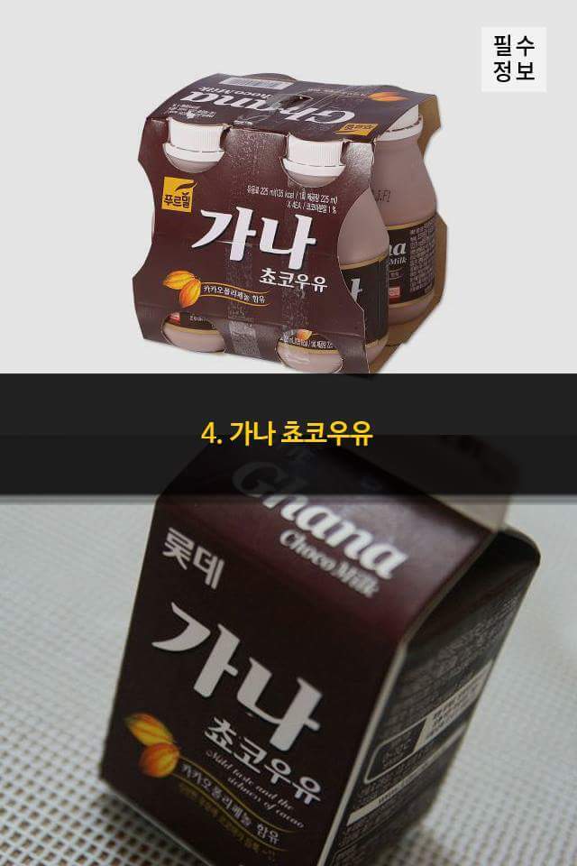 초코우유 BEST0 | 인스티즈