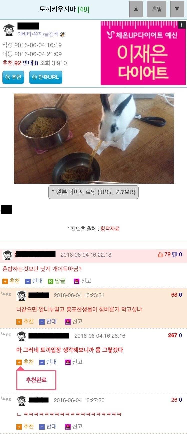 토끼키우지마.jpg | 인스티즈