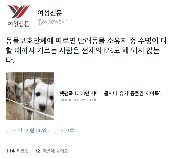 반려동물 소유자 중 수명이 다할 때까지 기르는 사람은 전체의 5%도 채 되지 않는다.twt | 인스티즈