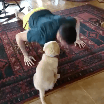 똑바로 하개 | 인스티즈