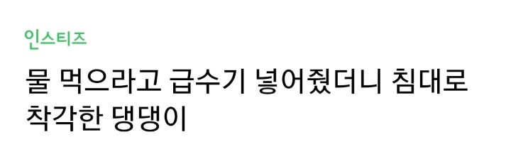 물 먹으라고 급수기 넣어줬더니... | 인스티즈