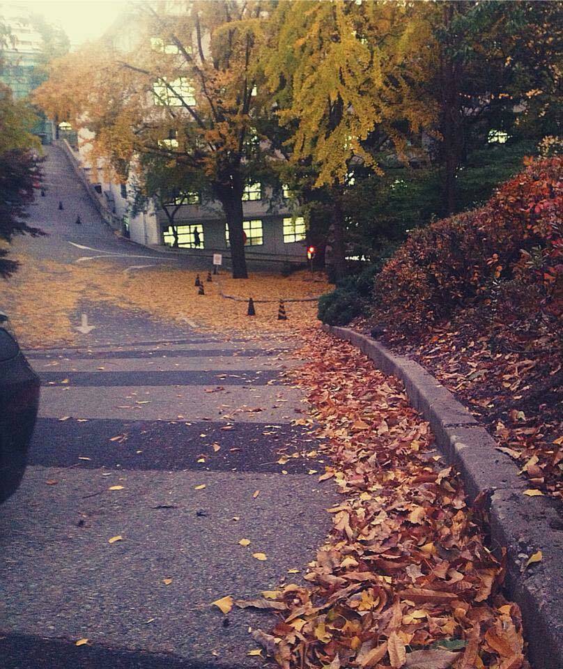 이화여대의 가을.jpg | 인스티즈