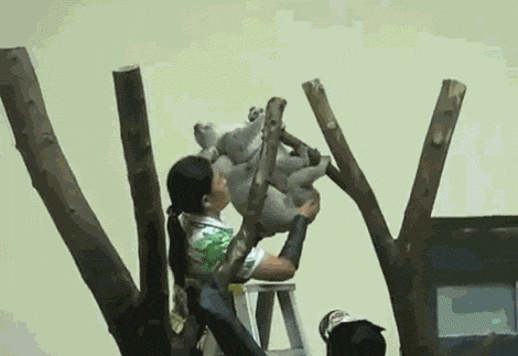 처음이라 도와주는거야 | 인스티즈