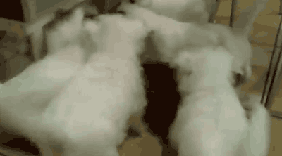 극한직업 | 인스티즈