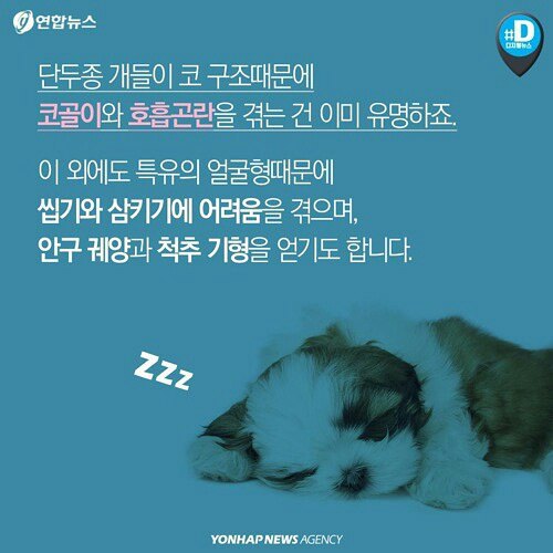 귀엽다구요? 사실 난 아픈 고양이에요 | 인스티즈