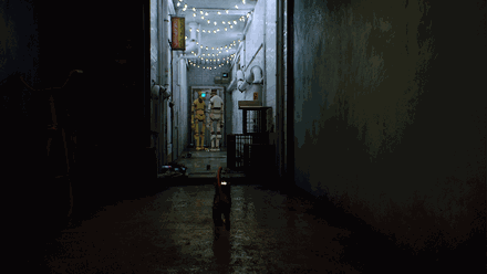 고양이로 플레이가능한 갓겜... | 인스티즈