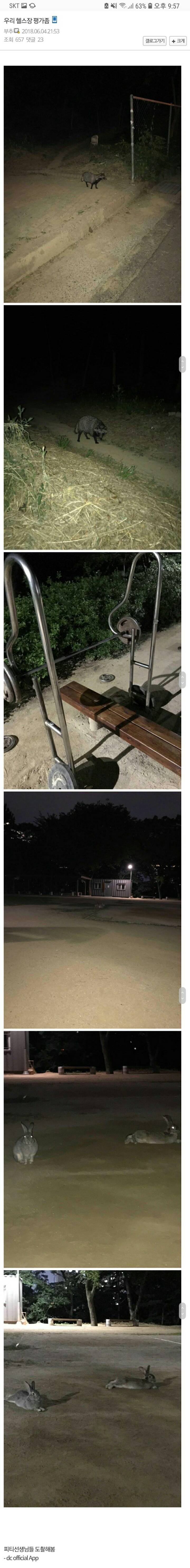 디씨인의 헬스장 트레이너 | 인스티즈