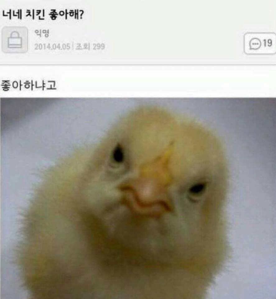 너네 치킨 좋아해?.jpg | 인스티즈