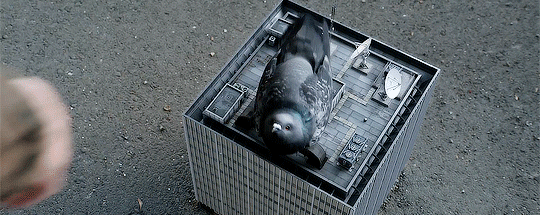 이 영화에서만 볼 수 있는 참신한 장면들.gif | 인스티즈