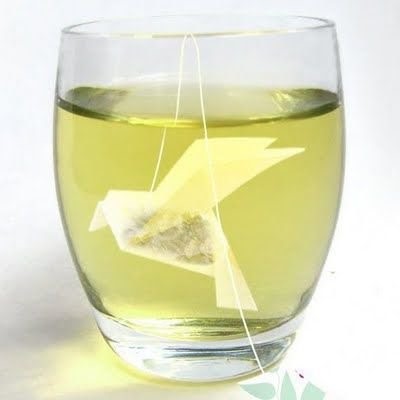 다음 우리나라 국민 시험대.jpg | 인스티즈