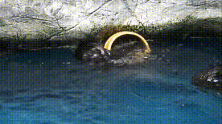 이 구역 미은 나야.gif | 인스티즈