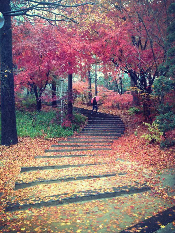 이화여대의 가을.jpg | 인스티즈