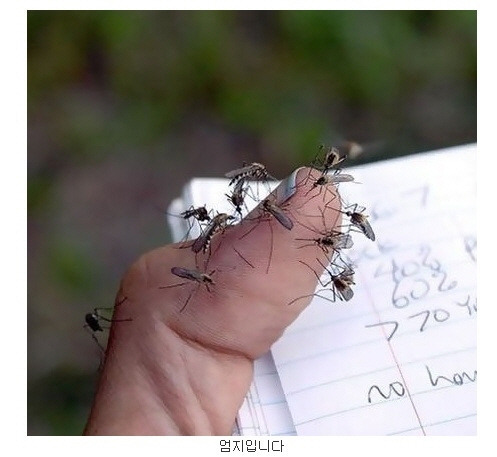 식사하던중에 여친이 친구들을 대려왔다. (시룸주의) | 인스티즈