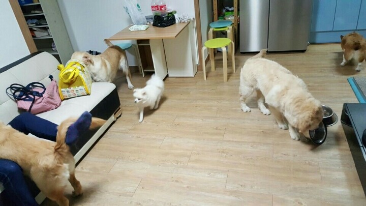 집이개판 | 인스티즈