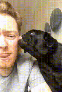 개로남불.GIF | 인스티즈